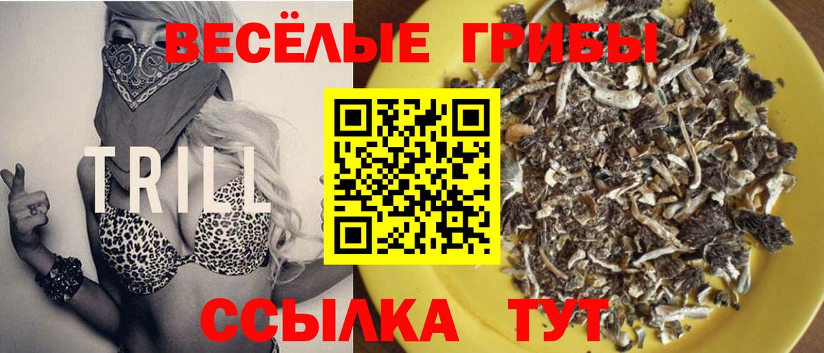 Галлюциногенные грибы Psilocybine cubensis Когалым